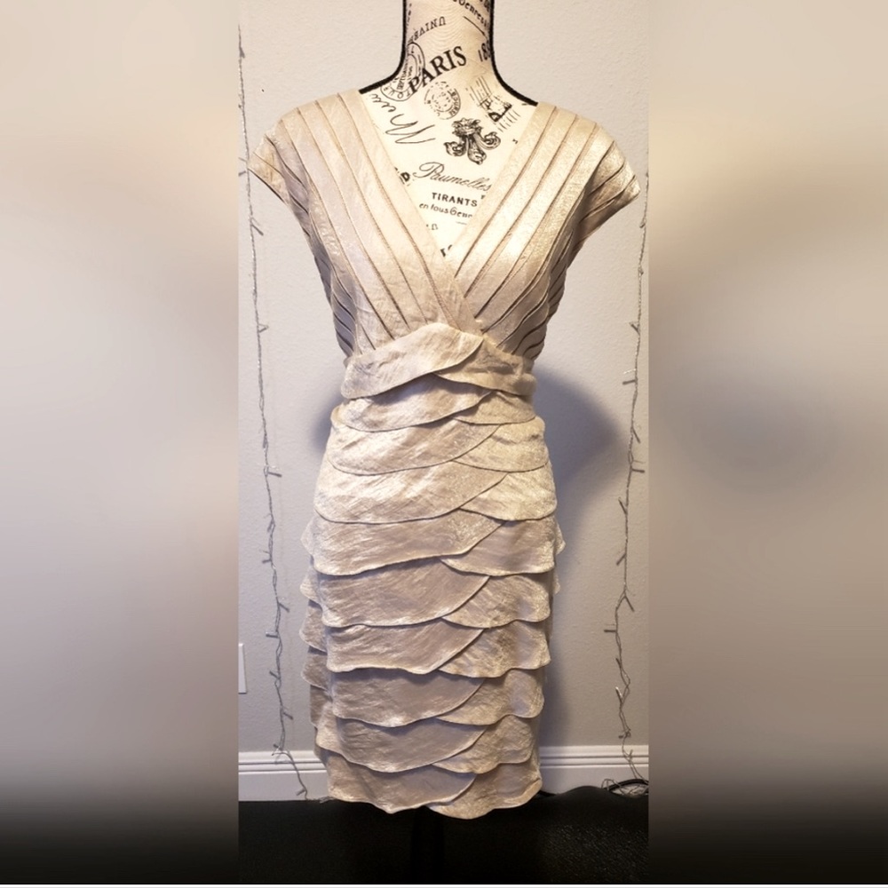 Adriana Pappel Size 14 Evening Dress